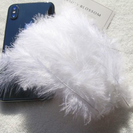 НоменклатураПрисоединенныеФайлы